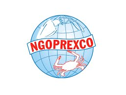 NGC: Báo cáo tài chính quý 1/2021