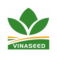 NSC: Báo cáo tài chính quý 1/2021 (công ty mẹ)