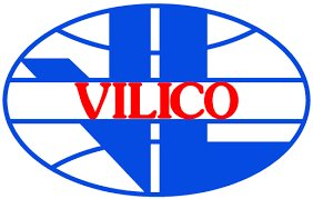 VLC: Báo cáo tài chính quý 1/2021