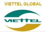 VGI: Báo cáo tài chính quý 1/2021 (công ty mẹ)