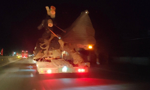 CSGT Hà Tĩnh chặn đứng xe chở cây khủng trên QL1A