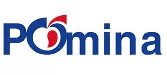 POM: Báo cáo thường niên năm 2020
