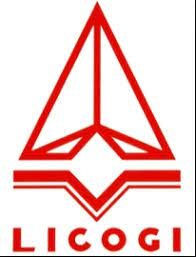 LIC: Báo cáo thường niên 2020
