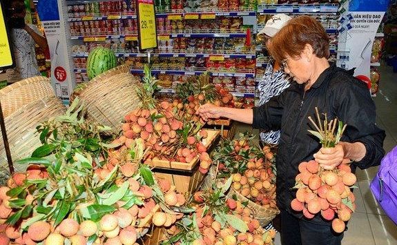 Vải thiều đầu vụ giá 60.000-100.000 đồng/kg