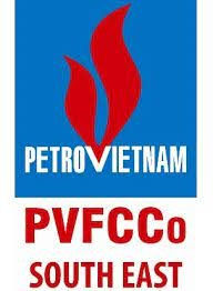 PSW: Báo cáo tài chính quý 1/2021
