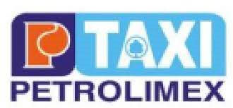 PGT: Báo cáo tài chính quý 1/2021
