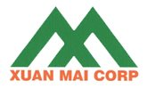 XMC: Báo cáo tài chính quý 1/2021 (công ty mẹ)
