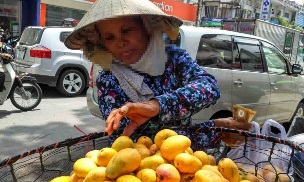 Xoài mút Trung Quốc tràn ngập thị trường