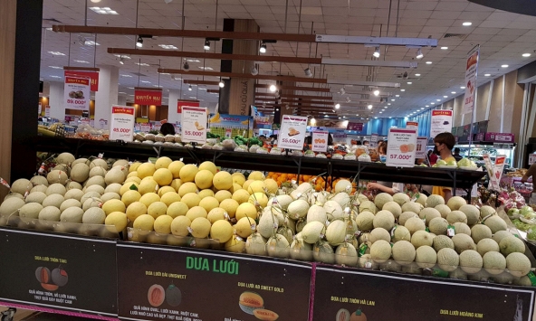 Dưa lưới sạch rớt giá, nông dân Cà Mau 'cầu cứu' tiêu thụ