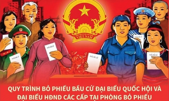 Quy trình bỏ phiếu bầu đại biểu Quốc hội