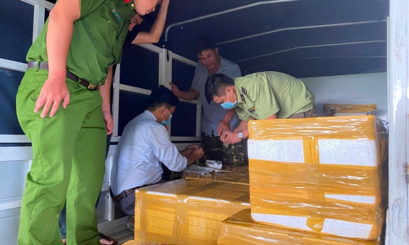 Kiên Giang phát hiện  300kg tôm bơm tạp chất