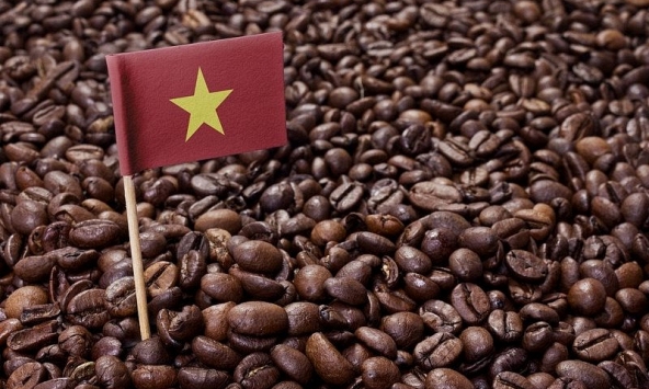 Giá cà phê đồng loạt tăng trên thị trường quốc tế