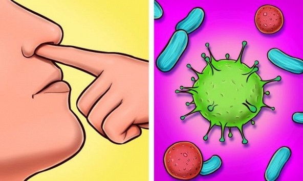 Ngoáy mũi không chỉ khiếm nhã mà còn có thể gây hại cho sức khỏe của bạn