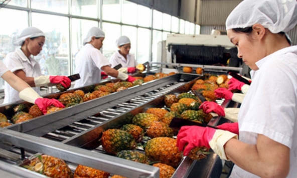 Xuất khẩu rau quả tháng 5 ước tỉnh đạt 400 triệu USD