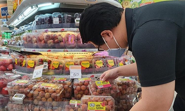 Lô vải thiều Việt Nam đầu tiên xuất đi châu Âu