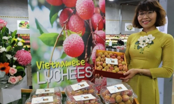 Vải thiều Việt tại Australia được trả giá gần 52 triệu đồng/1kg