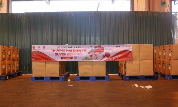 Hơn 3 tấn vải thiều Bắc Giang vào Đức qua thương mại điện tử xuyên biên giới