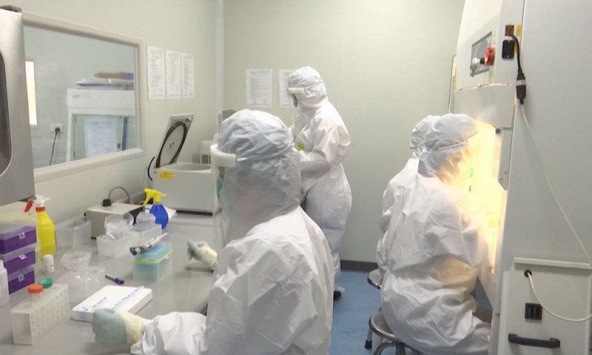 Việt Nam có 285 ca dương tính COVID-19 trong ngày 24/6, TP.HCM chiếm hơn một nửa