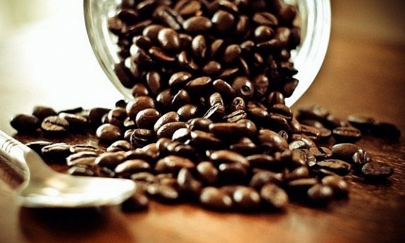 Giá cà phê Robusta tăng mạnh, gần 1.700 USD/tấn