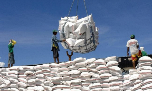 Nhập khẩu gạo Ấn Độ tăng bất thường, Bộ Công Thương kiểm tra 5 doanh nghiệp