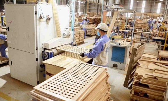 Hướng đi nào cho ngành gỗ Việt Nam khi đối mặt với cuộc điều tra khai thác của Mỹ?