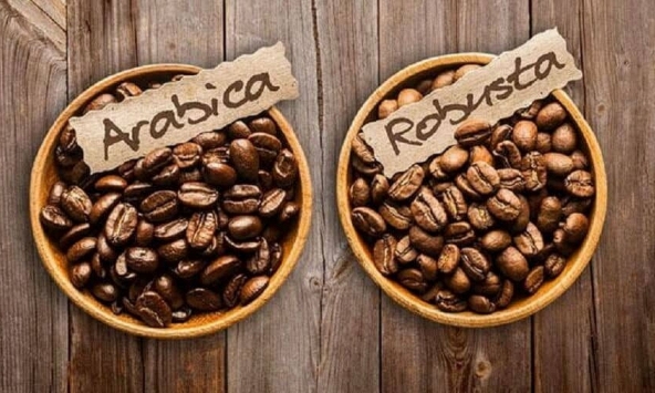 Cà phê đồng loạt giảm giá