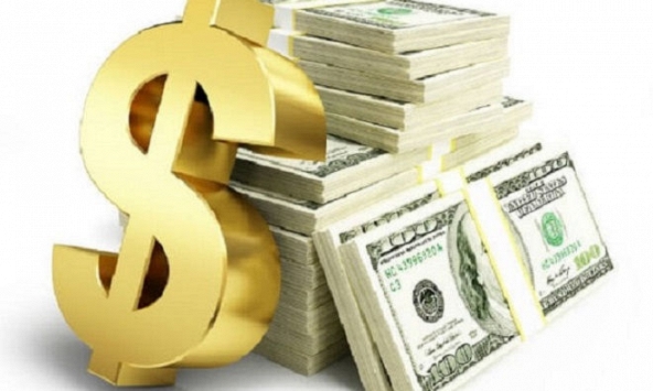 Đấu thầu qua mạng cần hồ sơ gì?