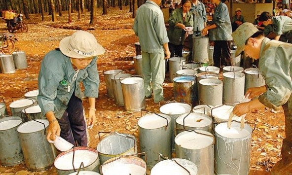 Xuất khẩu cao su tăng mạnh