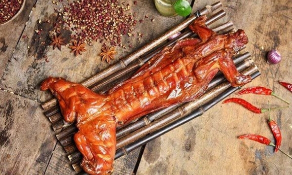 Món ngon mỗi ngày: 20 cách chế biến thịt thỏ ngon, không hôi, dễ làm