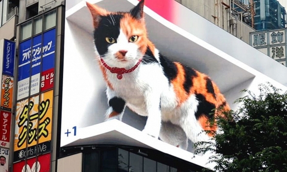 Mèo 3D khổng lồ cử động như thật trên biển quảng cáo lớn nhất Tokyo