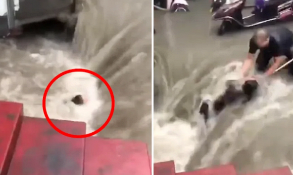 Khoảnh khắc kỳ diệu giải cứu người phụ nữ suýt bị lũ cuốn ở Trịnh Châu