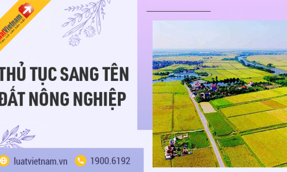 Hướng dẫn thủ tục sang tên đất nông nghiệp chi tiết