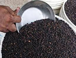 Xuất khẩu hồ tiêu tăng mạnh về giá trị