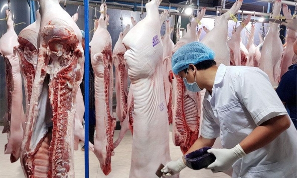 Vissan ngừng giao hàng đến TP HCM do xuất hiện 43 ca nhiễm COVID-19