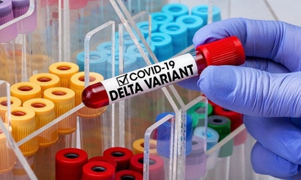 Delta - Biến thể mạnh nhất và đáng sợ nhất mà thế giới đang phải đối mặt