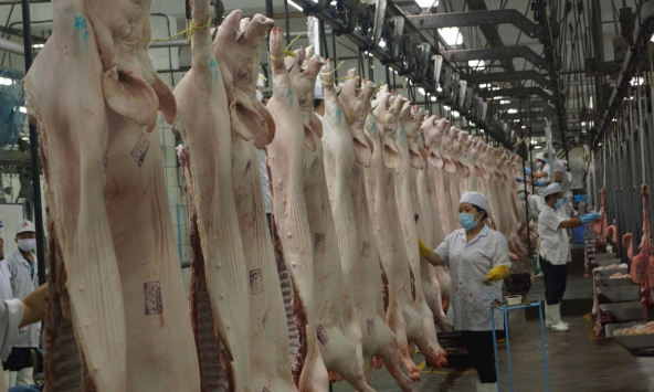 TP.HCM có thiếu thịt heo khi Vissan dừng hoạt động?