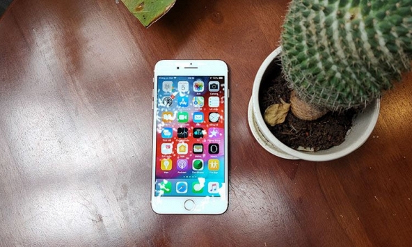 5 lý do đầy thuyết phục khiến iPhone 8 Plus vẫn đáng được săn đón trong năm 2021