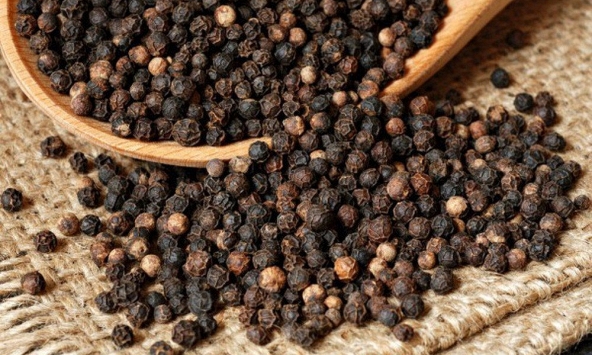 Giá tiêu tăng, dự báo đạt mốc 80.000 đồng/kg trong tháng 8