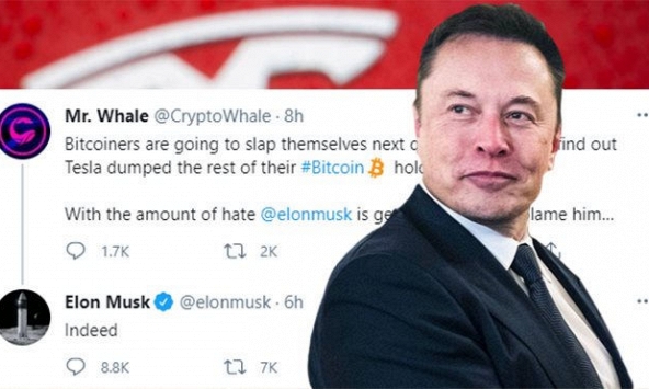 Thị trường tiền ảo đỏ rực sau khi Elon Musk đăng Tweet ám chỉ Tesla đã bán hết Bitcoin
