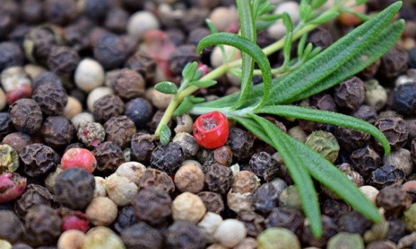 Giá tiêu giảm 500 đồng/kg tại các địa phương trồng tiêu trọng điểm