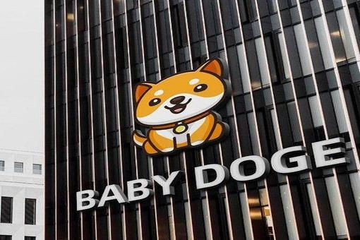 7 điều cần biết trước khi đầu tư vào Baby Doge Coin