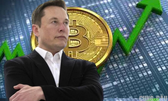 Tesla đầu tư 1,5 tỷ USD, giá Bitcoin lập đỉnh mới