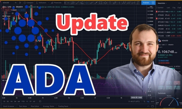 Cardano đã tăng 60% trong tháng này, đây là lý do tại sao