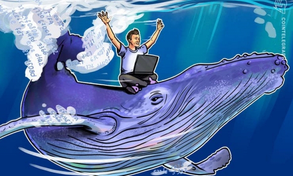 Cá voi hoạt động mạnh sau khi ETH lập đỉnh cao mới