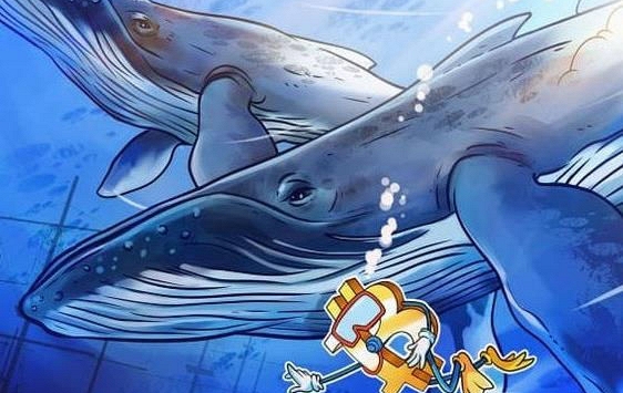 Giá Bitcoin tiếp tục giảm, một giờ mất 1 tỷ USD vốn hóa