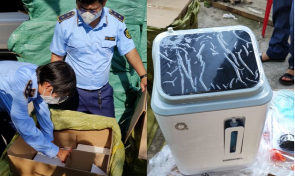 TP.HCM phát hiện hơn 300.000 thiết bị y tế trôi nổi, phần lớn là hàng Trung Quốc