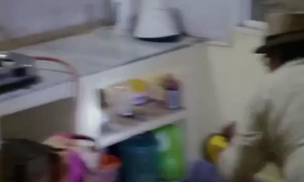 Rắn độc ẩn nấp trong bếp, hung hăng cắn người đàn ông khi bị bắt