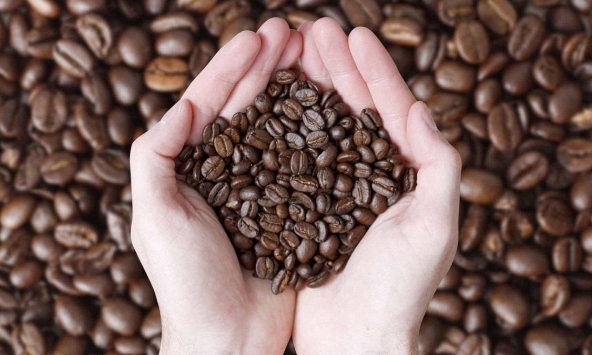 Thị trường cà phê được dự báo sẽ gặp khó khăn do dịch COVID-19