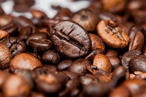 Giá cà phê trong nước tăng gần 2.000 đồng/kg trong tuần qua