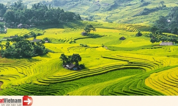 Thủ tục chuyển đổi đất nông nghiệp giữa hộ gia đình, cá nhân